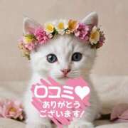 ヒメ日記 2026/04/02 20:34 投稿 有村さやか 札幌ソフィア