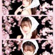 ヒメ日記 2026/04/06 02:03 投稿 有村さやか 札幌ソフィア