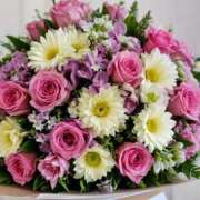 ヒメ日記 2026/04/14 17:04 投稿 有村さやか 札幌ソフィア