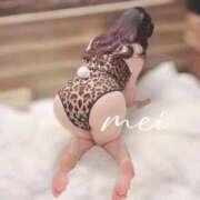 ヒメ日記 2025/03/06 17:37 投稿 めい 白いぽっちゃりさん錦糸町店