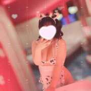 ヒメ日記 2025/11/12 23:37 投稿 めい 白いぽっちゃりさん錦糸町店