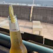 ヒメ日記 2024/12/22 22:31 投稿 浅田まちこ 華椿