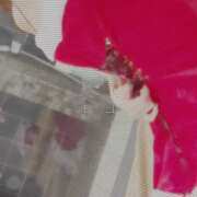 ヒメ日記 2024/12/23 17:31 投稿 浅田まちこ 華椿