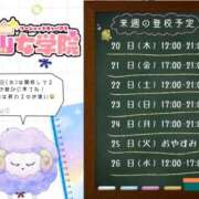 ヒメ日記 2025/02/20 00:24 投稿 あい【梅田堂山女学院】 梅田堂山女学院