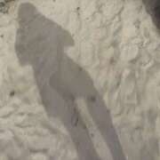 ヒメ日記 2025/09/14 16:37 投稿 あい【梅田堂山女学院】 梅田堂山女学院