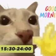 ヒメ日記 2026/04/11 09:30 投稿 みく Sナース女学園