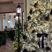 ヒメ日記 2025/11/14 11:04 投稿 さら（GOLD） 新橋フェアリーズ