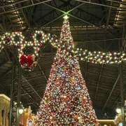 ヒメ日記 2025/12/24 12:08 投稿 さら（GOLD） 新橋フェアリーズ