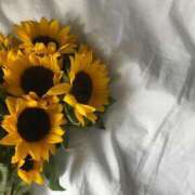 ヒメ日記 2025/07/31 22:53 投稿 日向　むぎ OLピンクコレクション