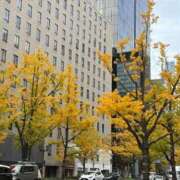 ヒメ日記 2025/12/01 21:13 投稿 日向　むぎ OLピンクコレクション