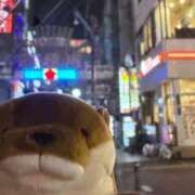 ヒメ日記 2026/09/15 14:29 投稿 日向　むぎ OLピンクコレクション