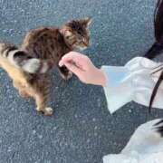 ヒメ日記 2025/09/15 20:59 投稿 みい 激安ピーチ