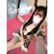 ヒメ日記 2024/12/29 22:16 投稿 さな 男爵