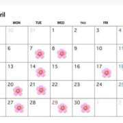 ヒメ日記 2026/04/06 21:56 投稿 カスミ ドMなバニーちゃん大宮店