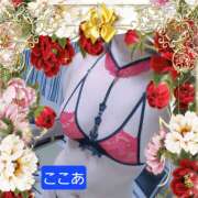 杉浦ここあ 本日は 五十路マダム愛されたい熟女たち 津山店