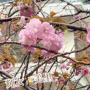 ヒメ日記 2025/04/11 19:45 投稿 美里【みさと】 輝女