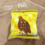 ヒメ日記 2025/04/13 21:57 投稿 美里【みさと】 輝女