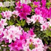 ヒメ日記 2025/04/29 20:10 投稿 美里【みさと】 輝女