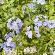 ヒメ日記 2025/10/18 19:30 投稿 美里【みさと】 輝女