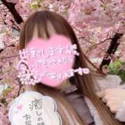 ヒメ日記 2025/03/14 18:04 投稿 あさひ タレントCLUB