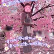 ヒメ日記 2025/05/12 06:45 投稿 あさひ タレントCLUB