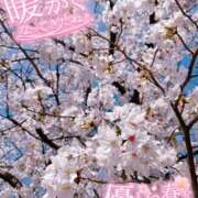 ヒメ日記 2026/04/03 15:02 投稿 あさひ タレントCLUB