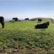 ヒメ日記 2025/05/29 20:24 投稿 知津留 東京人妻フォーシーズンズ