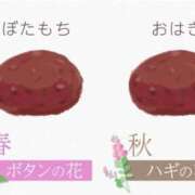ヒメ日記 2025/09/21 14:34 投稿 知津留 東京人妻フォーシーズンズ