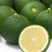 知津留 へべす 東京人妻フォーシーズンズ