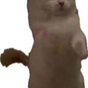 ヒメ日記 2024/12/14 12:04 投稿 そら みつらん鉄道