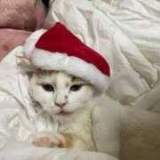 ヒメ日記 2024/12/23 11:47 投稿 そら みつらん鉄道