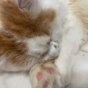 ヒメ日記 2025/01/11 12:12 投稿 そら みつらん鉄道