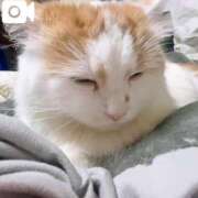 ヒメ日記 2025/03/29 15:22 投稿 そら みつらん鉄道