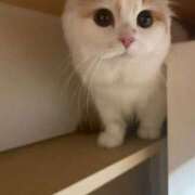 ヒメ日記 2025/04/24 22:14 投稿 そら みつらん鉄道