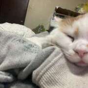 ヒメ日記 2025/04/26 15:12 投稿 そら みつらん鉄道