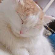 ヒメ日記 2025/08/27 11:36 投稿 そら みつらん鉄道