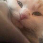 ヒメ日記 2025/11/10 13:04 投稿 そら みつらん鉄道