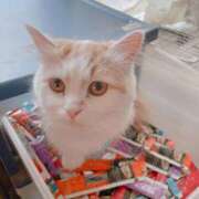 そら 今日もありがとう😊 みつらん鉄道