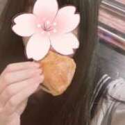 ヒメ日記 2026/03/16 09:54 投稿 そら みつらん鉄道