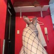 ヒメ日記 2025/01/19 11:26 投稿 セリナ【永野芽〇似の完全美少女】 バニーコレクション 中洲店