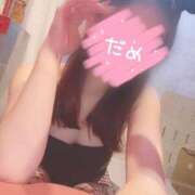 ヒメ日記 2025/01/29 07:45 投稿 セリナ【永野芽〇似の完全美少女】 バニーコレクション 中洲店