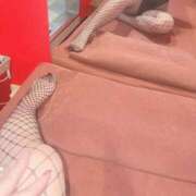 ヒメ日記 2025/03/26 17:30 投稿 セリナ【永野芽〇似の完全美少女】 バニーコレクション 中洲店