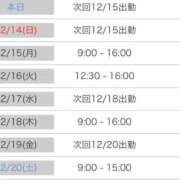 ヒメ日記 2025/12/13 14:05 投稿 ひめか(奥様) 姫マーケット