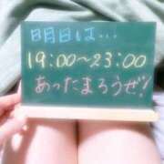 ヒメ日記 2023/12/15 22:56 投稿 このみ（奥様） 姫マーケット