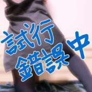 ヒメ日記 2025/03/03 22:28 投稿 このみ（奥様） 姫マーケット