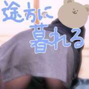 ヒメ日記 2025/03/04 22:25 投稿 このみ（奥様） 姫マーケット