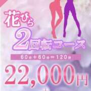 ヒメ日記 2025/02/28 08:15 投稿 かえで（奥様） 姫マーケット