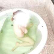 ヒメ日記 2026/01/12 10:25 投稿 かえで（奥様） 姫マーケット