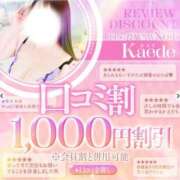 ヒメ日記 2026/04/29 13:05 投稿 かえで（奥様） 姫マーケット