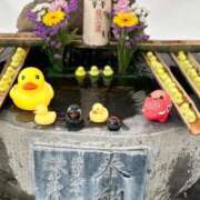 ヒメ日記 2026/04/05 09:15 投稿 ゆず 姫マーケット